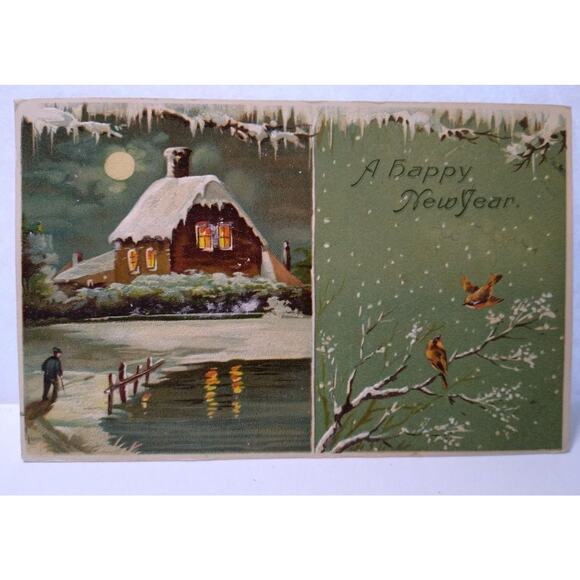 New Years Postcard Lakeside Home Full Moon Icicles Robins Birds 150 Germany 1909 - Picture 2 of 3